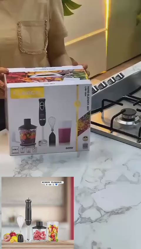Mixeur plongeur 4en1