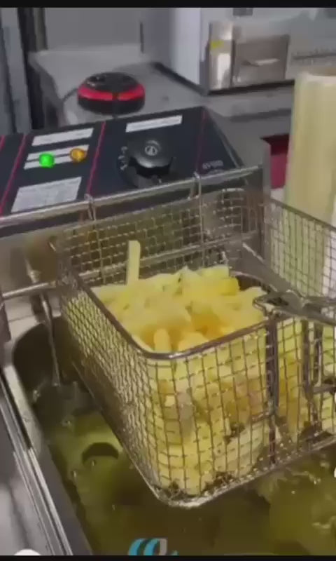 Friteuse 6 litres